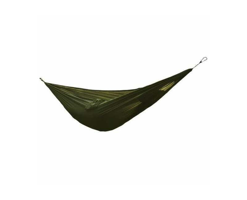 Tropical Hammock Coyote