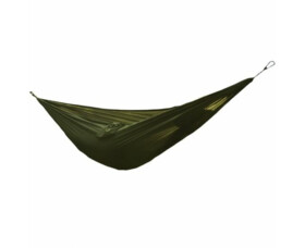 Tropical Hammock Coyote
